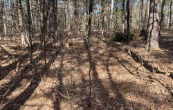 Lot 152 Mountain Ranch Drive, Fairfield Bay, AR 72088