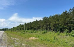 hwy 425 s, Hamburg, AR 71646