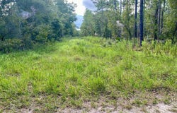 SW 16TH STREET, OCALA, FL 34481
