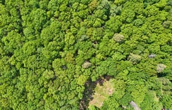Jersey Road, Wurtsboro, NY 12790