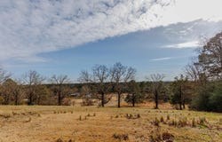 2369 Hwy 64, Morrilton, AR 72110