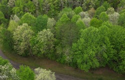 Lot 56 Glade Place, Monterey, TN 38574
