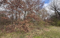 3rd St, Prescott, AR 71857