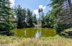 672 Matney Flats, Wytheville, VA 24382