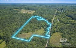 Doyle Morgan Road, Samson, AL 36477