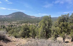 TBD High Flume Drive, Durango, CO 81303