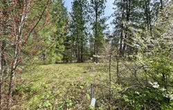 731 N Old Stage Road, Cave Junction, OR 97523