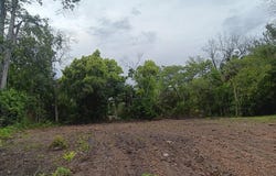 314 & 320 W Jerger Street, Thomasville, GA 31792