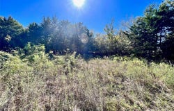 Lot 15r-2 Hout Bay Road, Streetman, TX 75859