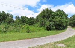 GERMAN Rd, Nauvoo, AL 35578