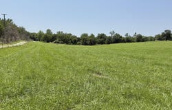 1604 E Chestnut Street, Carthage, MO 64836