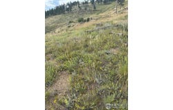 280 County Road 83, Boulder, CO 80302