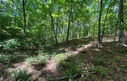 Fouts Mill Rd, Douglasville, GA 30135