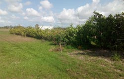 102 HARNESS ROAD, PLACIDA, FL 33946