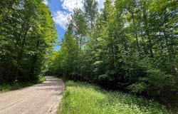 W BEECH BARK TRAIL, MAPLE CITY, MI 49664