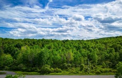 00WP3 Cr 352, Medusa, NY 12120