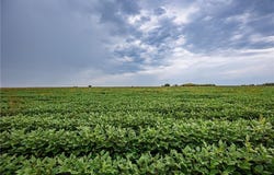 Jackson Road, Richmond Ks, KS 66080