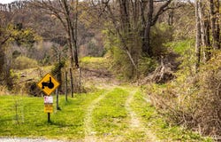 Old Mill Road, Ringtown, PA 17967
