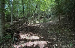 25 Fairview Pointe Drive, Fairview, NC 28730