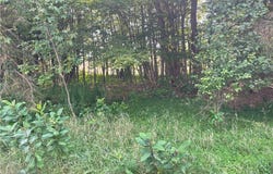 Rt-206, Masonville, NY 13804