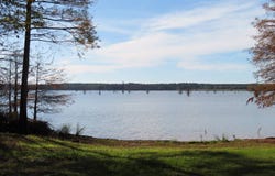 96 Water's Edge, Taylor, AR 71861