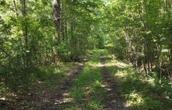 0 Rudd Rd, Ridgeville, SC 29472