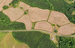 4209 Hall Road, Rougemont, NC 27572