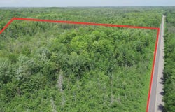 40 Acres Maple Grove, Skandia, MI 49885