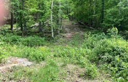 Echo Point Road, Bronston, KY 42518