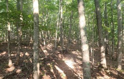 0 Knoll Woods Drive, Rustburg, VA 24588