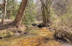 5 Ac Pack Creek Road, Blue Ridge, GA 30513