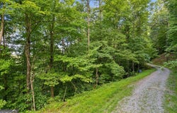 0 Flat Ridge, Ellijay, GA 30540