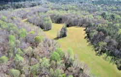 Stewart Cementery Lane, Enville, TN 38332