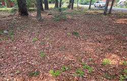 Gin Pond Drive, Summerton, SC 29048