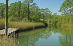 5816 Shady Bayou Ln, Milton, FL 32583