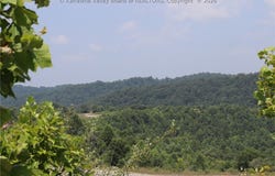 Four Mile Hollow Road, Hernshaw, WV 25107