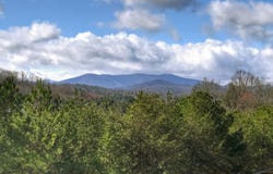 Unit 7 Grove Loop, Blue Ridge, GA 30513