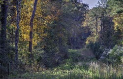 2116 Highway 84 E, Brookhaven, MS 39601