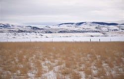 Trent Drive, Dillon, MT 59725