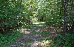 0 Hemlock Bluff Way, Deer Lodge, TN 37726