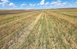 TBD Road 7W, Kimball, NE 69128