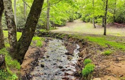 805 Quail Cove Circle, WARNE, NC 28909