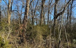 Heard Sylvester Road, Washington, LA 70589