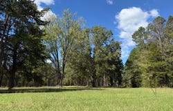 650 CR 4683, TIMPSON, TX 75975