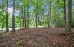 14880 Freemanville Road, Milton, GA 30004