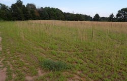 W 7856 Nelson Road, Mondovi, WI 54755