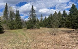 ON POCIASK RD, Butternut, WI 54514
