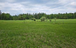214 Aspen Lane, Columbia Falls, MT 59912