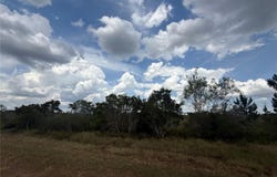 1565 S REED ROAD, AVON PARK, FL 33825