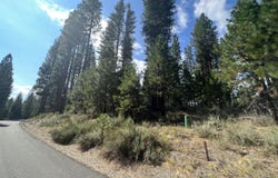 655 Bobcat Trail, Clio, CA 96106